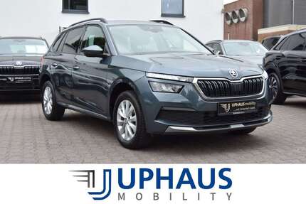 Skoda Kamiq 44.824 km 17.440 &euro; Werther 33824