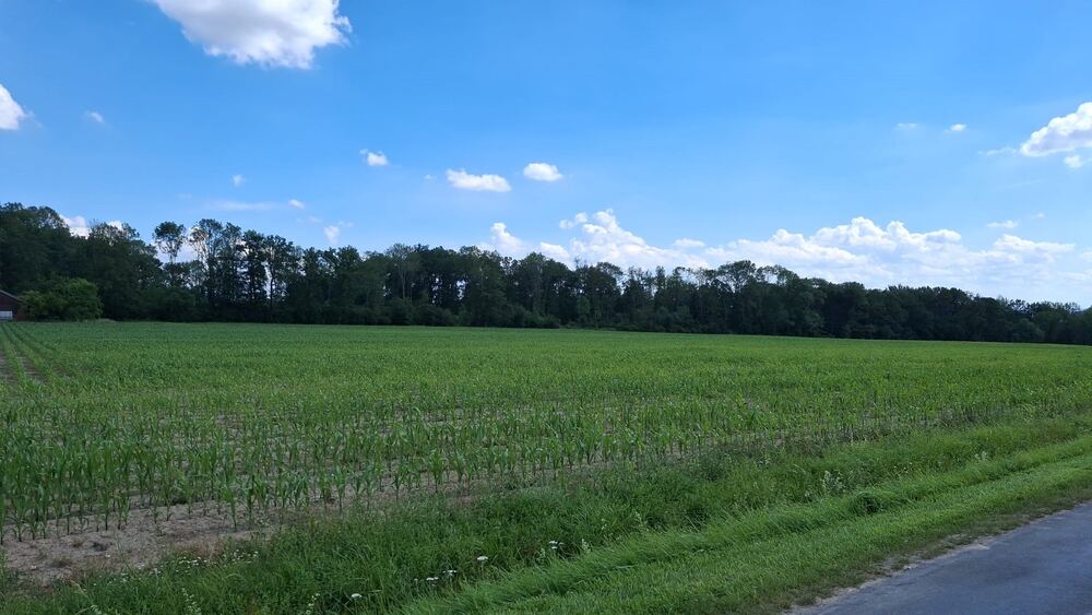 landwirtschaftliche Ackerfläche in Beckum zu verkaufen - Grundstück Beckum | Angebot:27178207