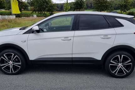 Opel Grandland X 89.500 km 10.900 &euro; Halle-Westfalen 33790