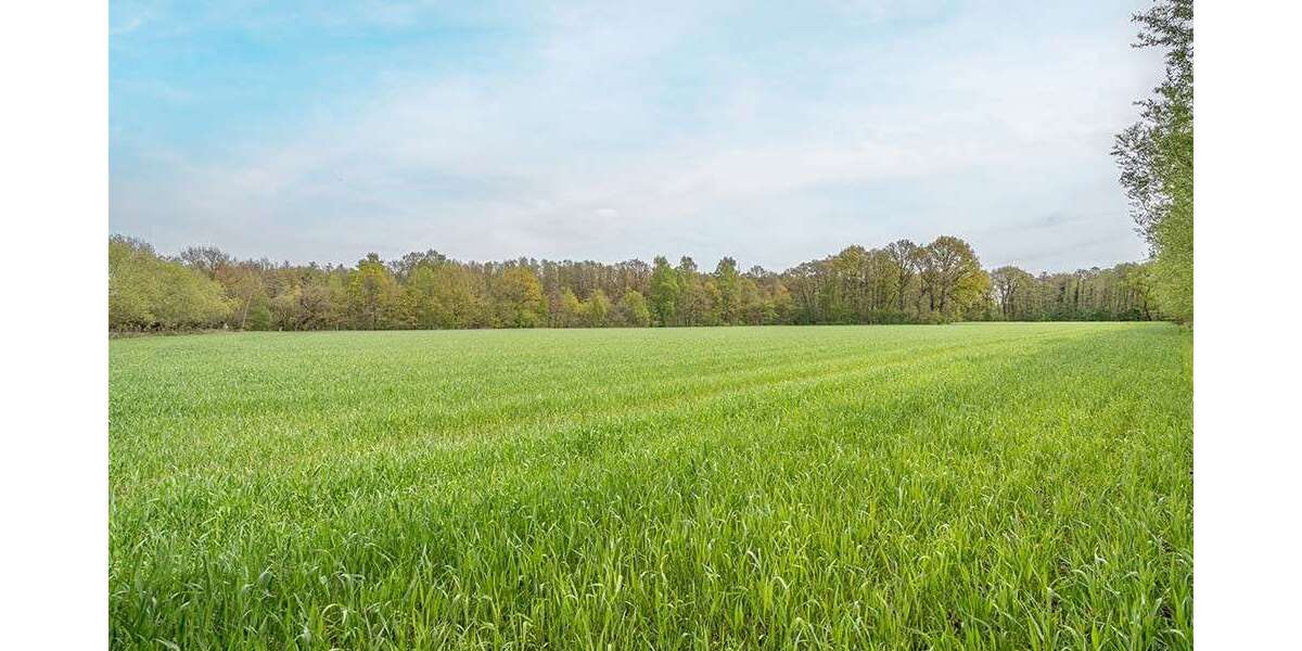 Grundstück Hövelhof - 89.000&euro; | Angebot:27295972