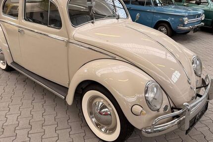VW Käfer 11.625 km 23.900 &euro; Gütersloh 33335