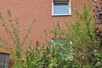 Etagenwohnung Gütersloh - 2 Zimmer, 50 m&sup2;, 140.000&euro; | Angebot:27425711