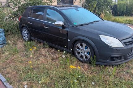 Opel Signum 260.000 km 1.000 &euro; Lippstadt bennighausen 59556