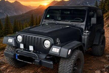 Jeep Wrangler 155.000 km 16.350 &euro; Spenge 32139