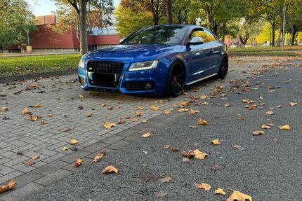 Audi S5 288.000 km 11.999 &euro; Hövelhof 33161