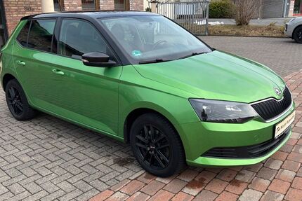 Skoda Fabia 110.950 km 8.900 &euro; Versmold 33775