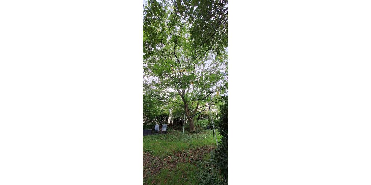 Mehrfamilienhaus, Wohnhaus Bielefeld Heepen - 12 Zimmer, 288 m&sup2;, 497.500&euro; | Angebot:27490058