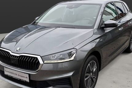 Skoda Fabia 26.954 km 17.390 &euro; Warendorf 48231