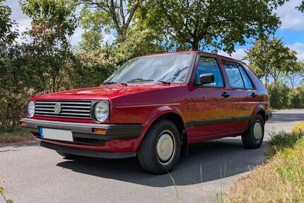 VW Golf 169.200 km 3.600 &euro; Borgholzhausen 33829
