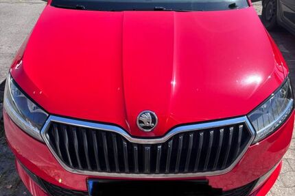 Skoda Fabia 130.296 km 9.900 &euro; Oelde 59302