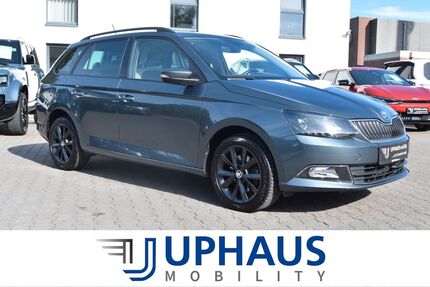 Skoda Fabia 96.040 km 9.890 &euro; Werther/Westfalen 33824