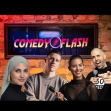 Comedyflash - Die Stand Up Comedy Show 07.11.2026 DansArt Tanznetworks