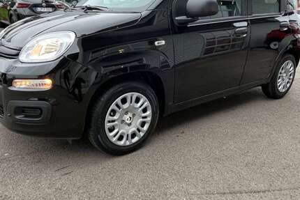 Fiat Panda 3.900 km 13.990 &euro; Lage 32791
