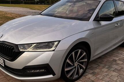 Skoda Octavia 169.000 km 16.900 &euro; Langenberg 33449