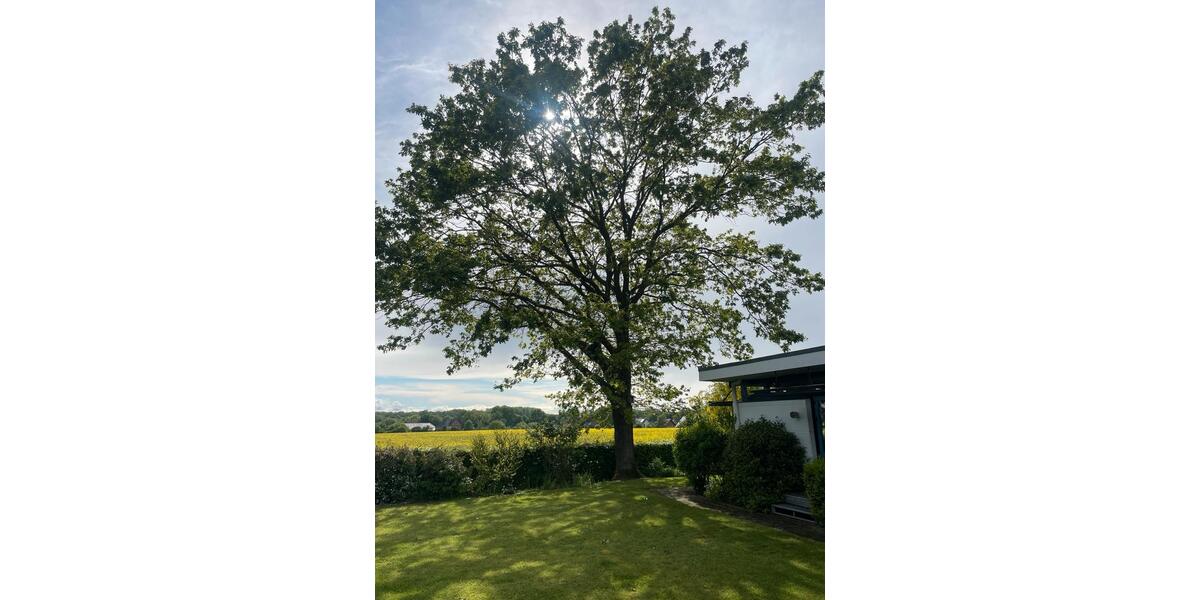 Bungalow Oelde - 6 Zimmer, 180 m&sup2;, 385.000&euro; | Angebot:27437897